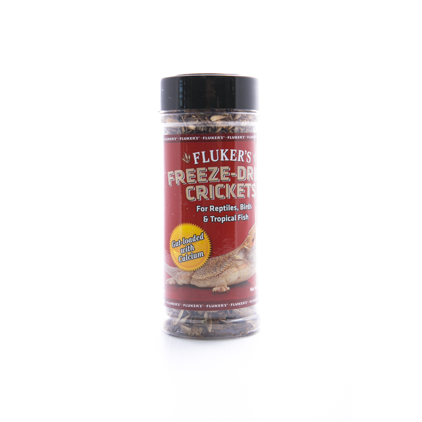 Freeze Dried Crickets