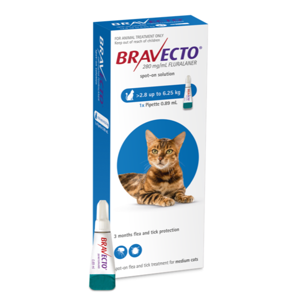 Bravecto Spot On for Cats - 2.8-6.25kg 
