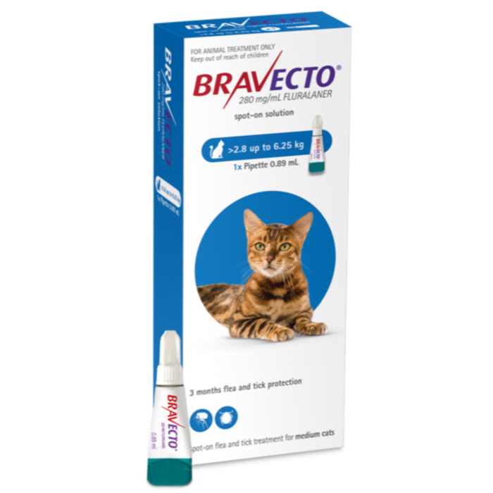 Bravecto Spot On for Cats - 2.8-6.25kg 