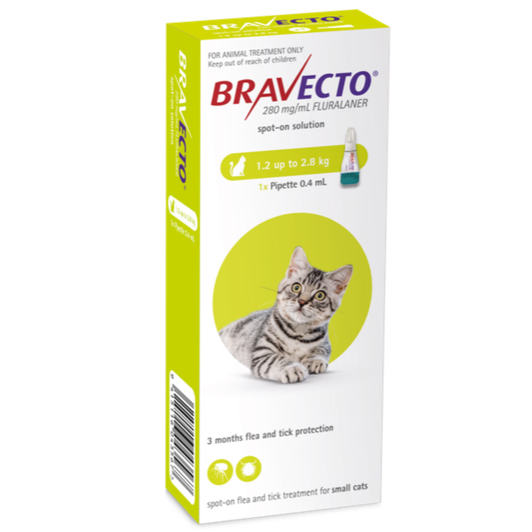 Bravecto Spot On for Cats 1.2 2.8kg Cat Flea Worm Flea