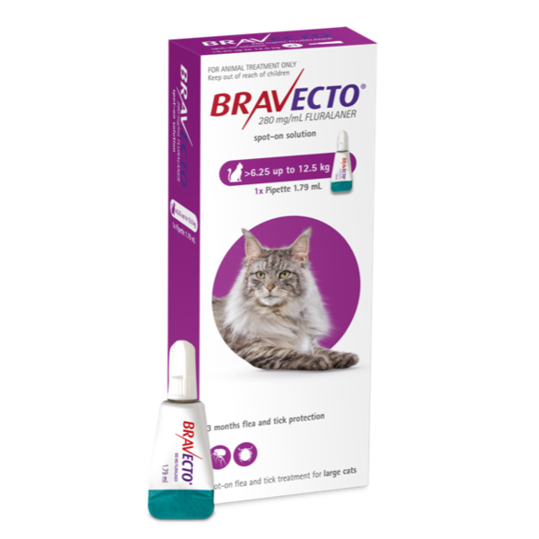 Bravecto Spot On for Cats - 6.36-12.5kg