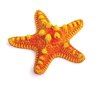 Starfish - Mini