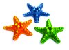 Starfish- Large