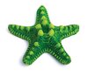 Starfish- Large