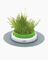 Senses Grass Garden Kit