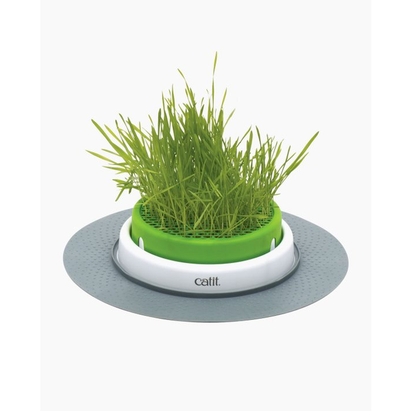 Senses Grass Garden Kit