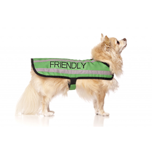 Friendly Dog Coat