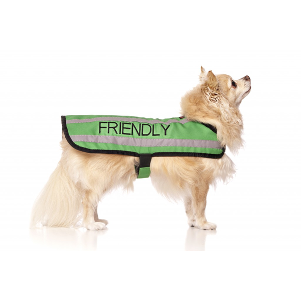 Friendly Dog Coat