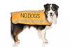 No Dogs Coat