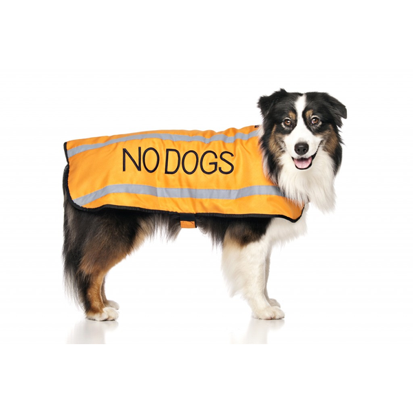 No Dogs Coat