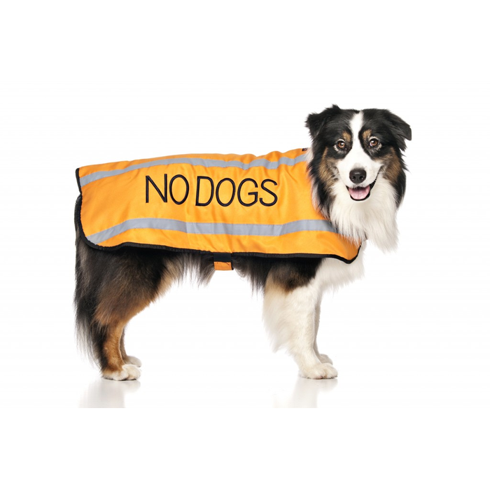 No Dogs Coat