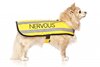 Nervous Dog Coat