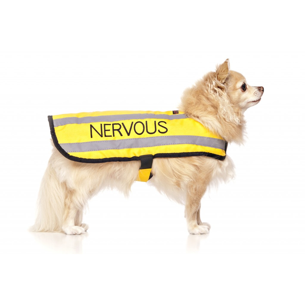 Nervous Dog Coat