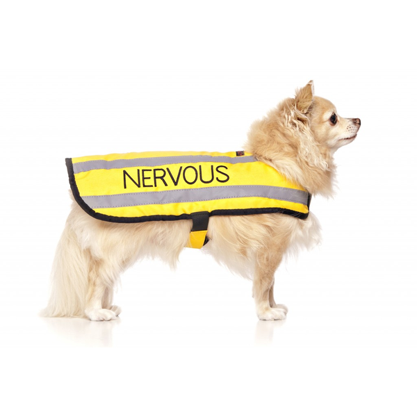 Nervous Dog Coat