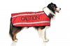 Caution Dog Coat