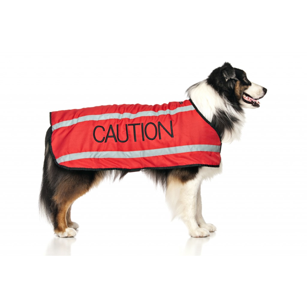 Caution Dog Coat