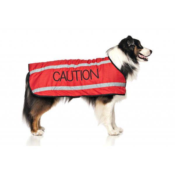 Caution Dog Coat