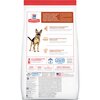 Science Diet Canine Adult Senior 6+ Large Breed
