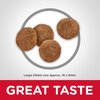 Science Diet Canine Adult Large Breed