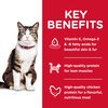 Science Diet Feline Adult Hairball Control 