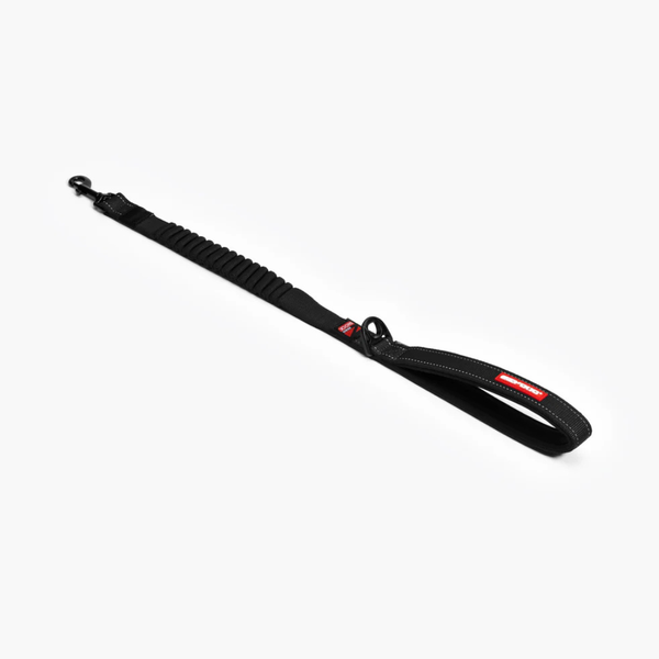 Zero Shock Leash
