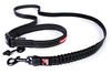 Road Runner Shock Absorbing Leash