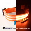 USB Rechargeable LED Dog Collar - Orange