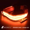 USB Rechargeable LED Dog Collar - Orange