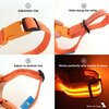 USB Rechargeable LED Dog Collar - Orange