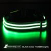 USB Rechargeable LED Dog Collar - Green
