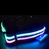 USB Rechargeable LED Dog Collar - Disco