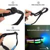 USB Rechargeable LED Dog Collar - Disco