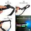 USB Rechargeable LED Dog Collar - Disco