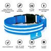 USB Rechargeable LED Dog Collar - Blue
