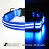 USB Rechargeable LED Dog Collar - Blue