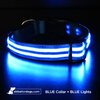 USB Rechargeable LED Dog Collar - Blue