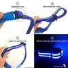 USB Rechargeable LED Dog Collar - Blue