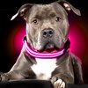 USB Rechargeable LED Dog Collar - Pink