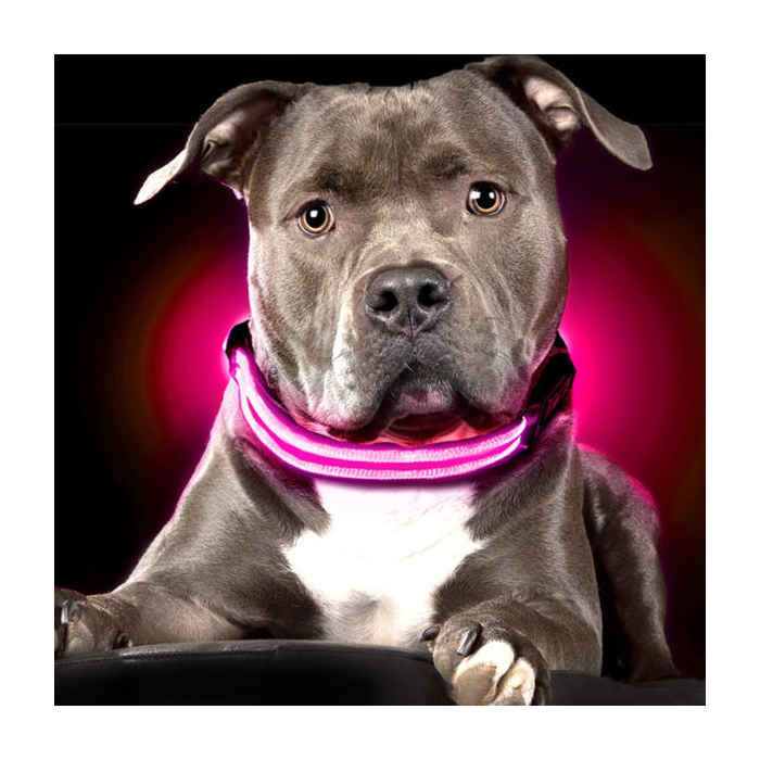 USB Rechargeable LED Dog Collar - Pink