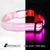 USB Rechargeable LED Dog Collar - Pink