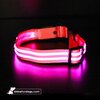 USB Rechargeable LED Dog Collar - Pink