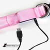 USB Rechargeable LED Dog Collar - Pink