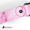 USB Rechargeable LED Dog Collar - Pink