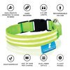 USB Rechargeable LED Dog Collar - Lime