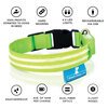 USB Rechargeable LED Dog Collar - Lime