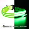 USB Rechargeable LED Dog Collar - Lime