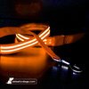 USB Rechargeable LED Dog Lead - Orange