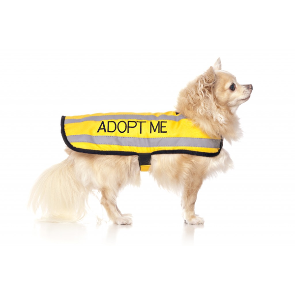 Adopt Me Dog Coat
