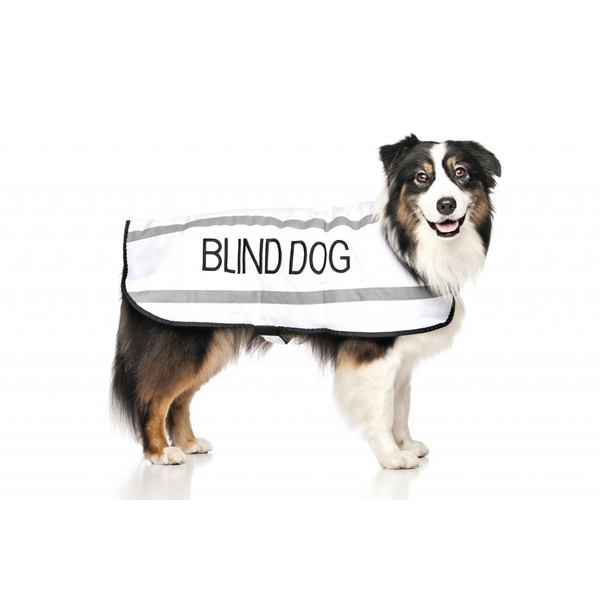 Blind Dog Coat