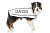 Deaf Dog Coat